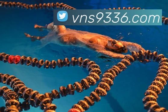 威尼斯人官网APP 体育赛事宣传图